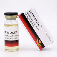 Testosteron-Undecanoat - Golden Dragon